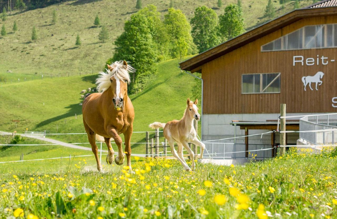 Hotel Schoerhof Saalfelden Exterior foto